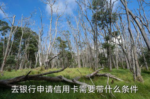 申辦信用卡要什么條件，申請信用卡需要什么要求