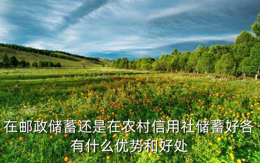 在郵政儲蓄還是在農(nóng)村信用社儲蓄好各有什么優(yōu)勢和好處