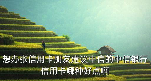 中信的什么信用卡好申請(qǐng)，中信什么卡種信用卡好些