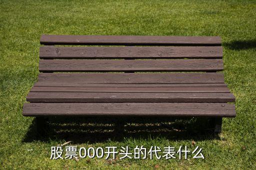 股票000開頭的代表什么