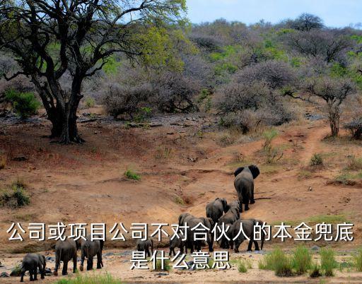 公司或項(xiàng)目公司不對合伙人的本金兜底是什么意思