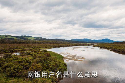 網(wǎng)銀用戶名是什么意思