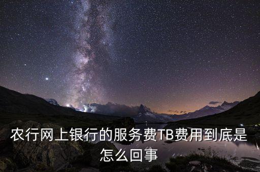農(nóng)行網(wǎng)上銀行的服務(wù)費(fèi)TB費(fèi)用到底是怎么回事
