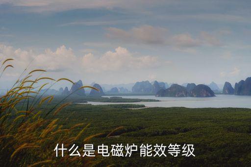 什么是電磁爐能效等級