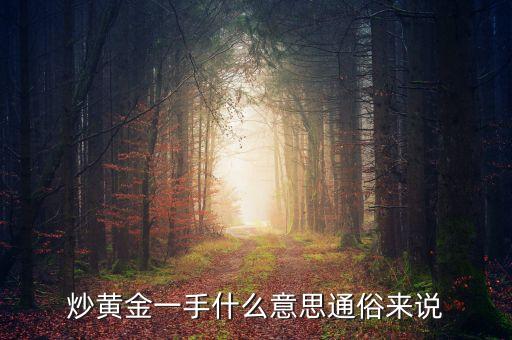 黃金一手是什么意思，黃金買賣一手是什么意思