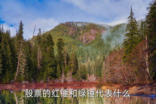 股票的紅錘和綠錘代表什么