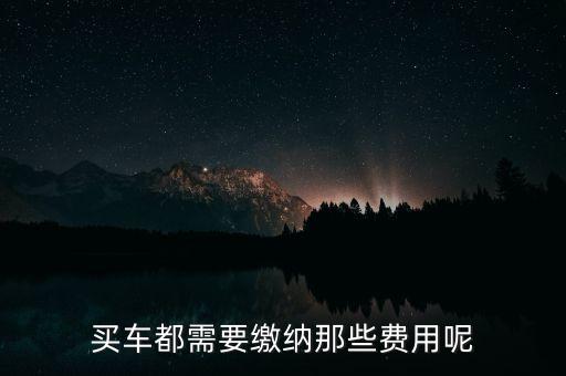 買車都需要繳納那些費(fèi)用呢