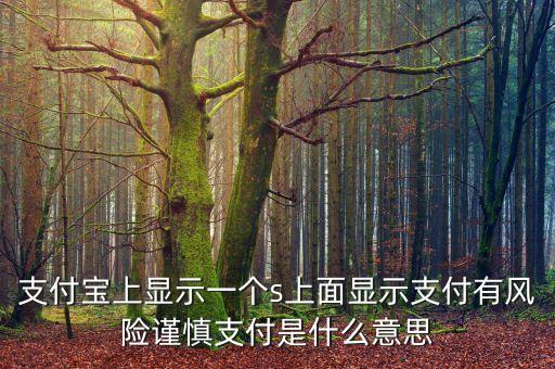 支付寶上顯示一個(gè)s上面顯示支付有風(fēng)險(xiǎn)謹(jǐn)慎支付是什么意思