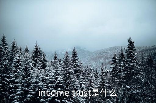 保險金信托是什么，income trust是什么