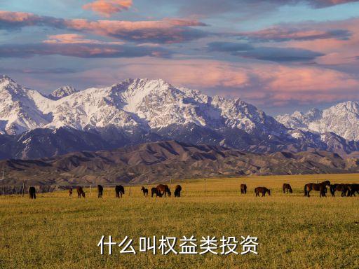 權(quán)益投資包括什么意思，權(quán)益類投資是什么