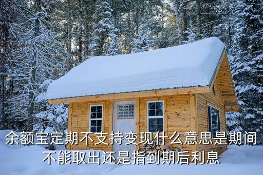 理財不可變現(xiàn)什么意思，余額寶定期不支持變現(xiàn)什么意思是期間不能取出還是指到期后利息