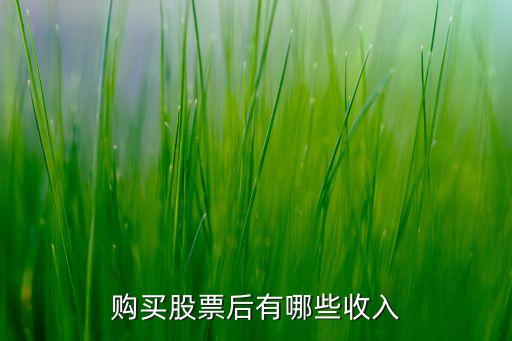 購(gòu)買股票后有哪些收入