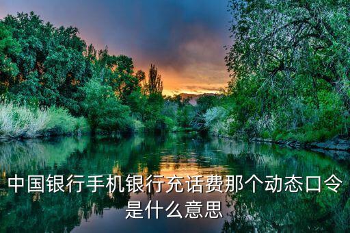中國(guó)銀行手機(jī)銀行充話費(fèi)那個(gè)動(dòng)態(tài)口令是什么意思