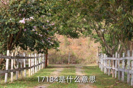 150168是什么意思，17184是什么意思
