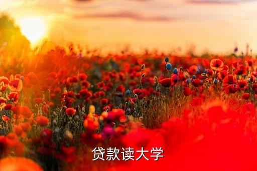 貸款讀大學(xué)有什么條件，大學(xué)生貸款上學(xué)要什么條件