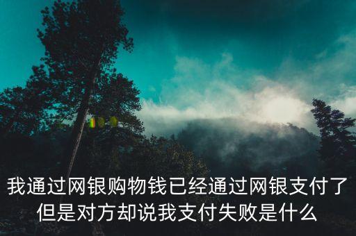 我通過網(wǎng)銀購物錢已經(jīng)通過網(wǎng)銀支付了但是對方卻說我支付失敗是什么