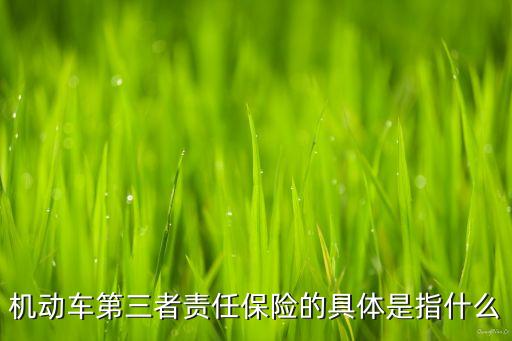機動車第三者責(zé)任保險的具體是指什么