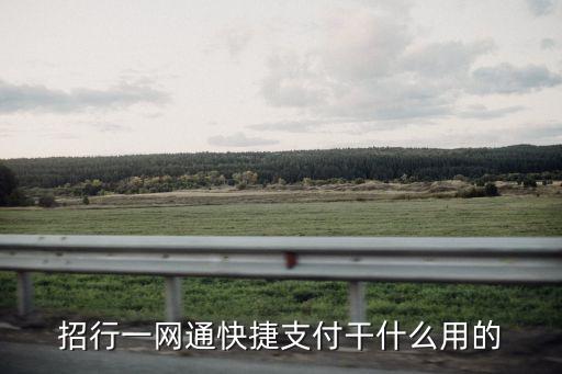 招行一網(wǎng)通快捷支付干什么用的