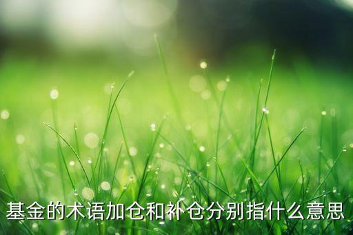 基金的術(shù)語(yǔ)加倉(cāng)和補(bǔ)倉(cāng)分別指什么意思