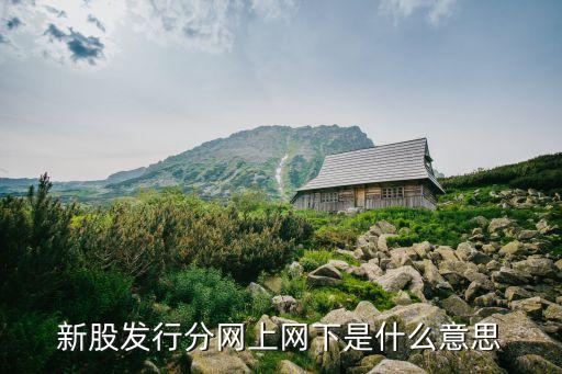 新股發(fā)行分網(wǎng)上網(wǎng)下是什么意思