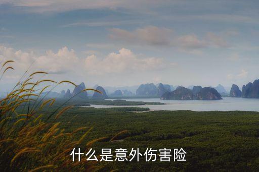 什么是意外傷害險(xiǎn)
