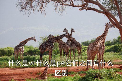 平臺投資是什么關(guān)系，互聯(lián)網(wǎng)金融與p2p之間的關(guān)系是什么