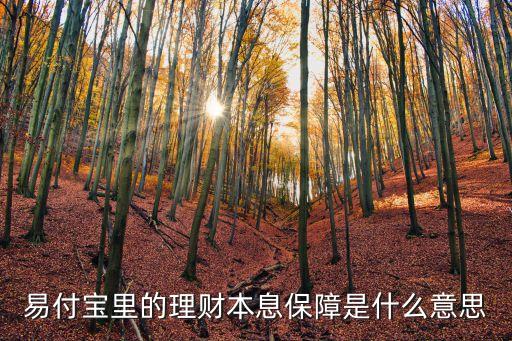 理財(cái)本息保障是什么意思，100適用本息保障什么意思