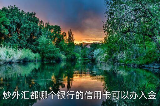 炒外匯都哪個(gè)銀行的信用卡可以辦入金