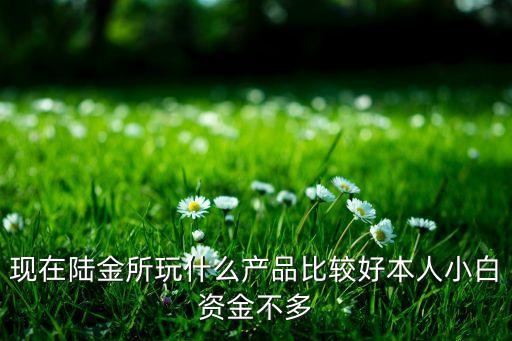 現(xiàn)在陸金所玩什么產(chǎn)品比較好本人小白資金不多