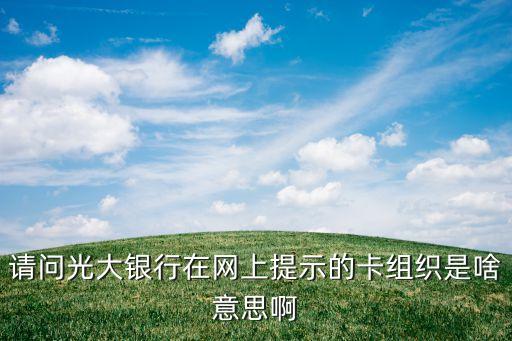 請(qǐng)問(wèn)光大銀行在網(wǎng)上提示的卡組織是啥意思啊