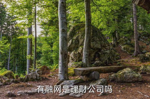 有融網(wǎng)是什么原因，有融網(wǎng)是理財(cái)公司嗎