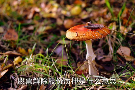 股票解除股份質(zhì)押是什么意思
