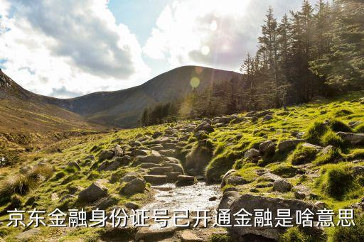 京東金融身份證號已開通金融是啥意思