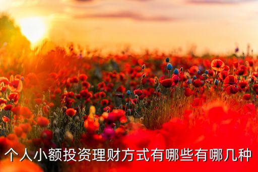 個人小額投資理財方式有哪些有哪幾種