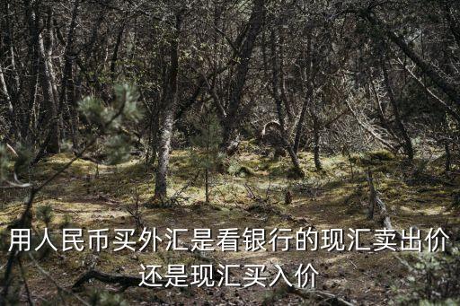 買(mǎi)外匯看什么價(jià)，用人民幣買(mǎi)外匯是看銀行的現(xiàn)匯賣(mài)出價(jià)還是現(xiàn)匯買(mǎi)入價(jià)