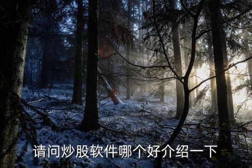 請問炒股軟件哪個好介紹一下