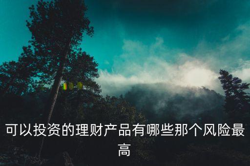 什么理財風(fēng)險最大，可以投資的理財產(chǎn)品有哪些那個風(fēng)險最高
