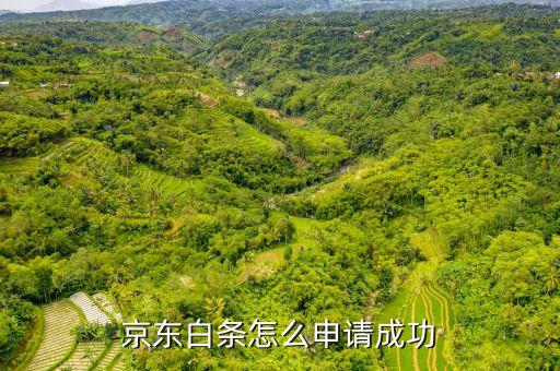 京東白條怎么申請成功