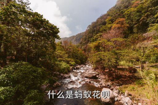 什么是螞蟻花唄