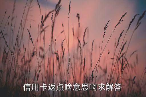 信用卡返點啥意思啊求解答