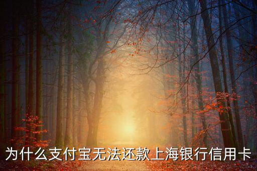 為什么支付寶無法還款上海銀行信用卡