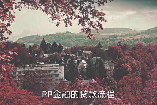 pp貸款是什么，什么是PP金融