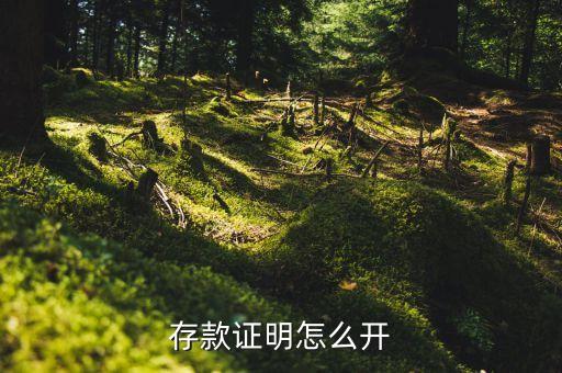 存款證明需要什么銀行，存款證明怎么開