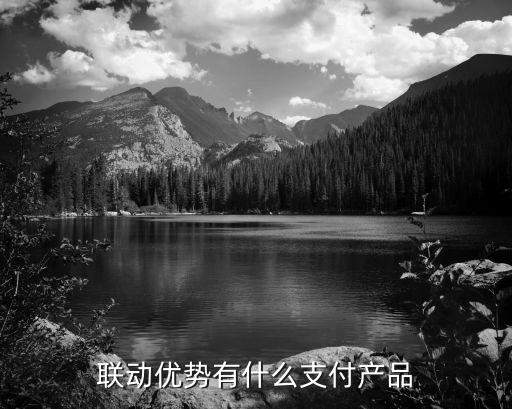 聯(lián)動(dòng)優(yōu)勢(shì)是什么貸款，聯(lián)動(dòng)優(yōu)勢(shì)有什么支付產(chǎn)品