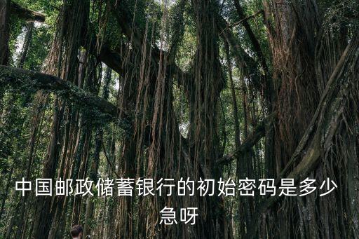郵政銀行的原始密碼是什么，郵政儲蓄卡的原始密碼是什么