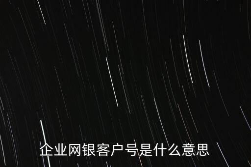 企業(yè)銀行客戶號是什么意思，企業(yè)網(wǎng)銀客戶號是什么意思