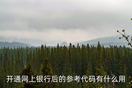 開通網(wǎng)上銀行后的參考代碼有什么用