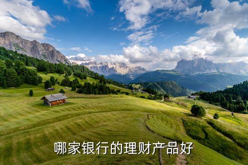什么銀行卡理財(cái)產(chǎn)品，哪家銀行的理財(cái)產(chǎn)品好