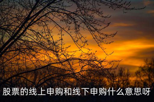 股票的線上申購(gòu)和線下申購(gòu)什么意思呀