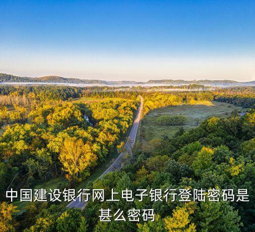中國(guó)建設(shè)銀行網(wǎng)上電子銀行登陸密碼是甚么密碼